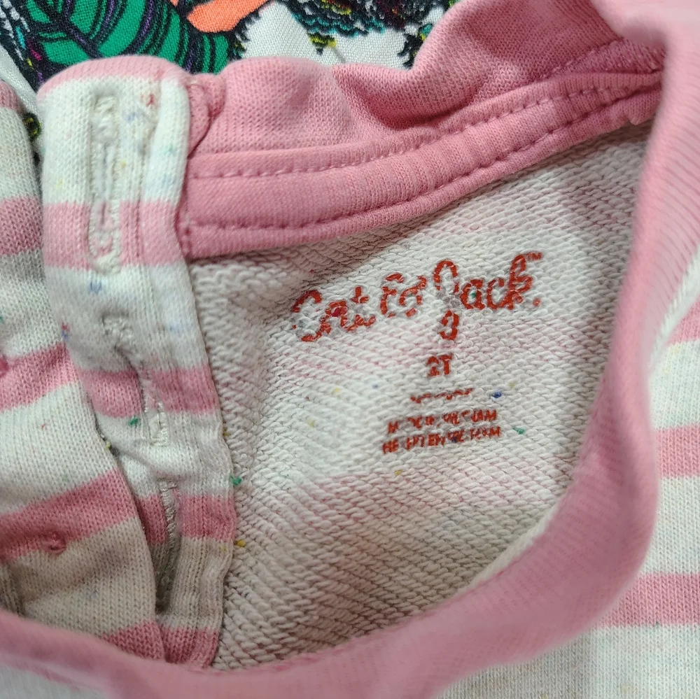 Girls 2T Clothing Lot Bundle‎ OshKosh B’gosh Carter’s Cat & Jack Limited Too